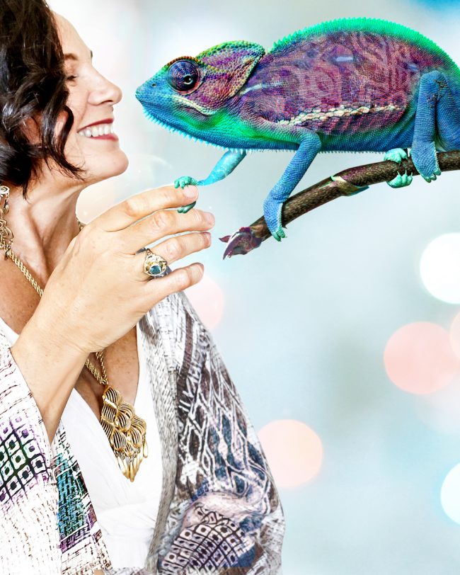 Glynnis hello chameleon